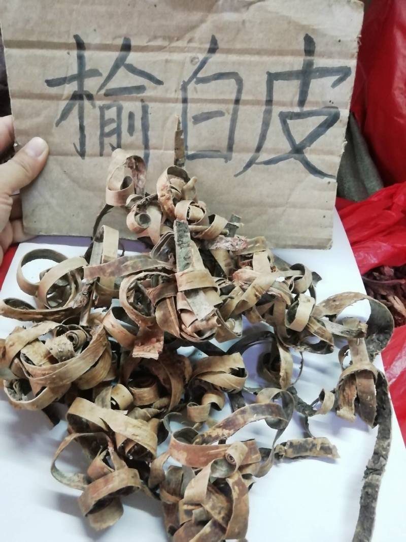 榆白皮，榆白树皮批发加零售