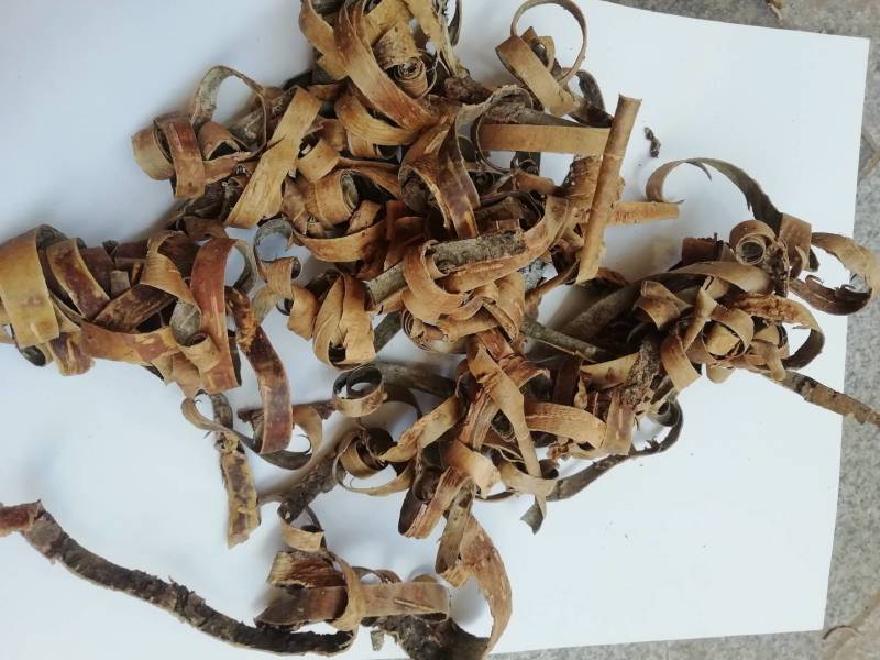 榆白皮，榆白树皮批发加零售