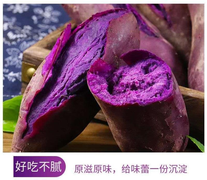 云南农家沙家地新鲜紫薯小番薯