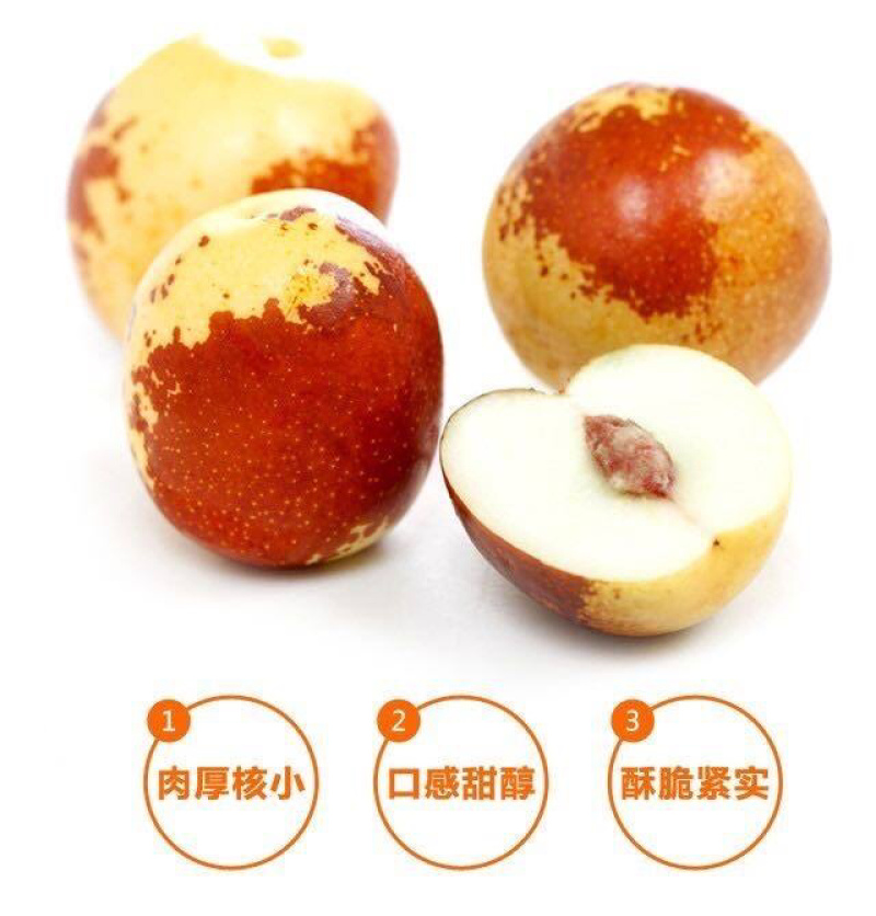 【鲜枣】山东沾化冬枣可供电商批发商果店物流快递方便