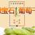 新疆特产吐鲁番特大号绿无核葡萄干贵妃葡萄干