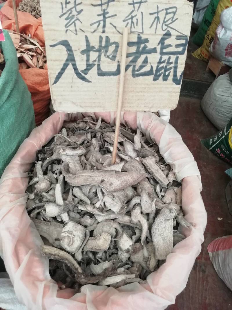 中药材入地老鼠，紫茉莉根批发加零售