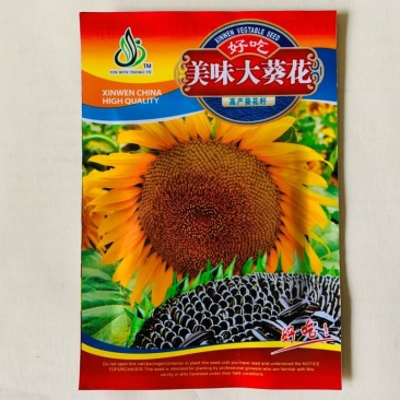 高油矮大头种子油葵种子向日葵种子大田出油高葵花籽蔬菜种孑