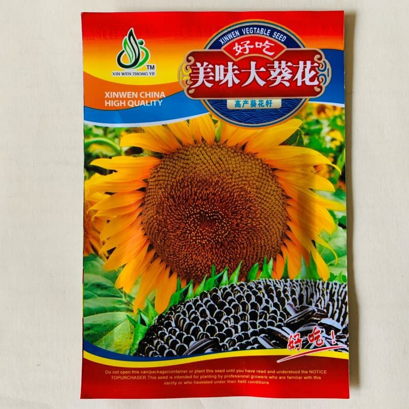 高油矮大头种子油葵种子向日葵种子大田出油高葵花籽蔬菜种孑