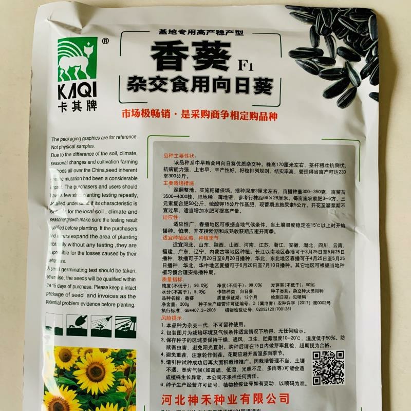 高油矮大头种子油葵种子向日葵种子大田出油高葵花籽蔬菜种孑