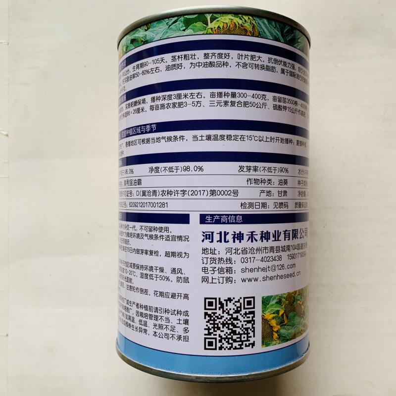高油矮大头种子油葵种子向日葵种子大田出油高葵花籽蔬菜种孑