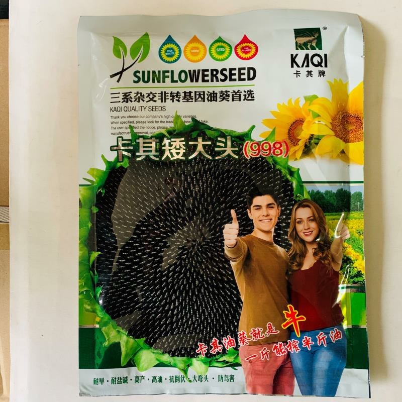 高油矮大头种子油葵种子向日葵种子大田出油高葵花籽蔬菜种孑
