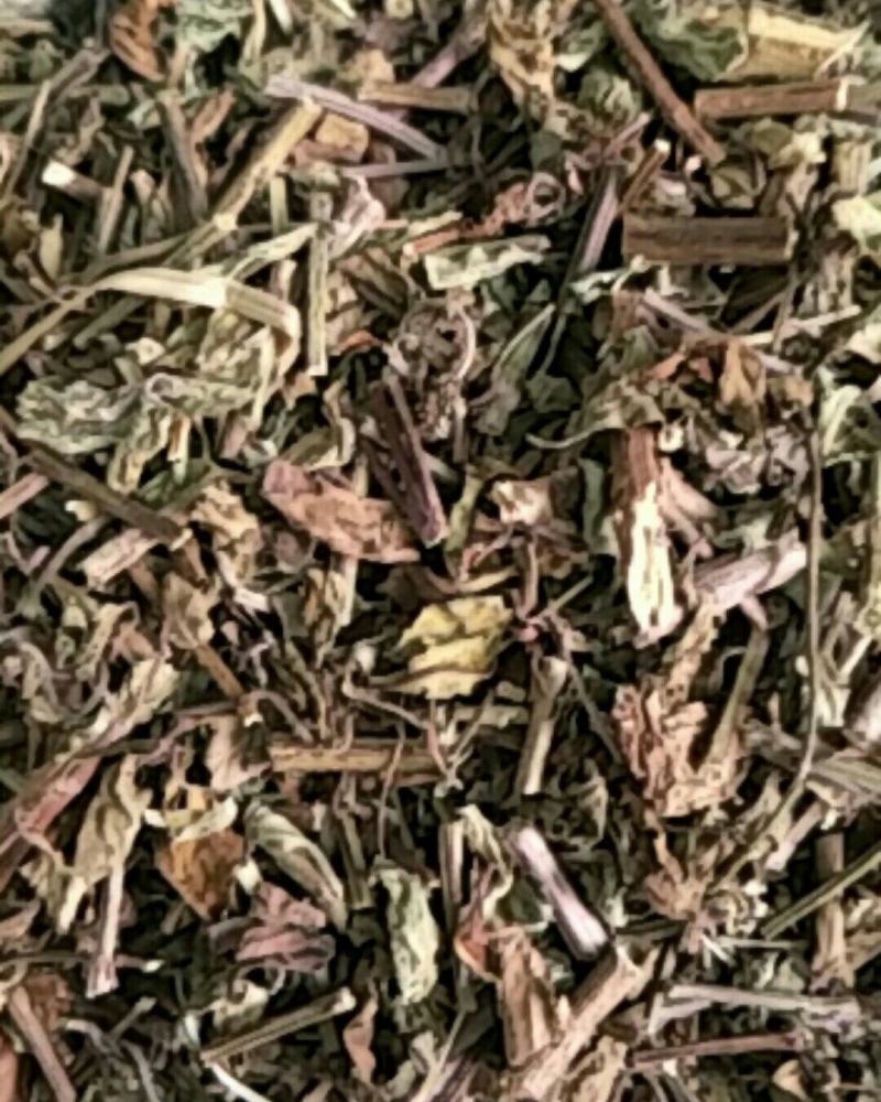 猫须草，常年批发供应中草药猫须草