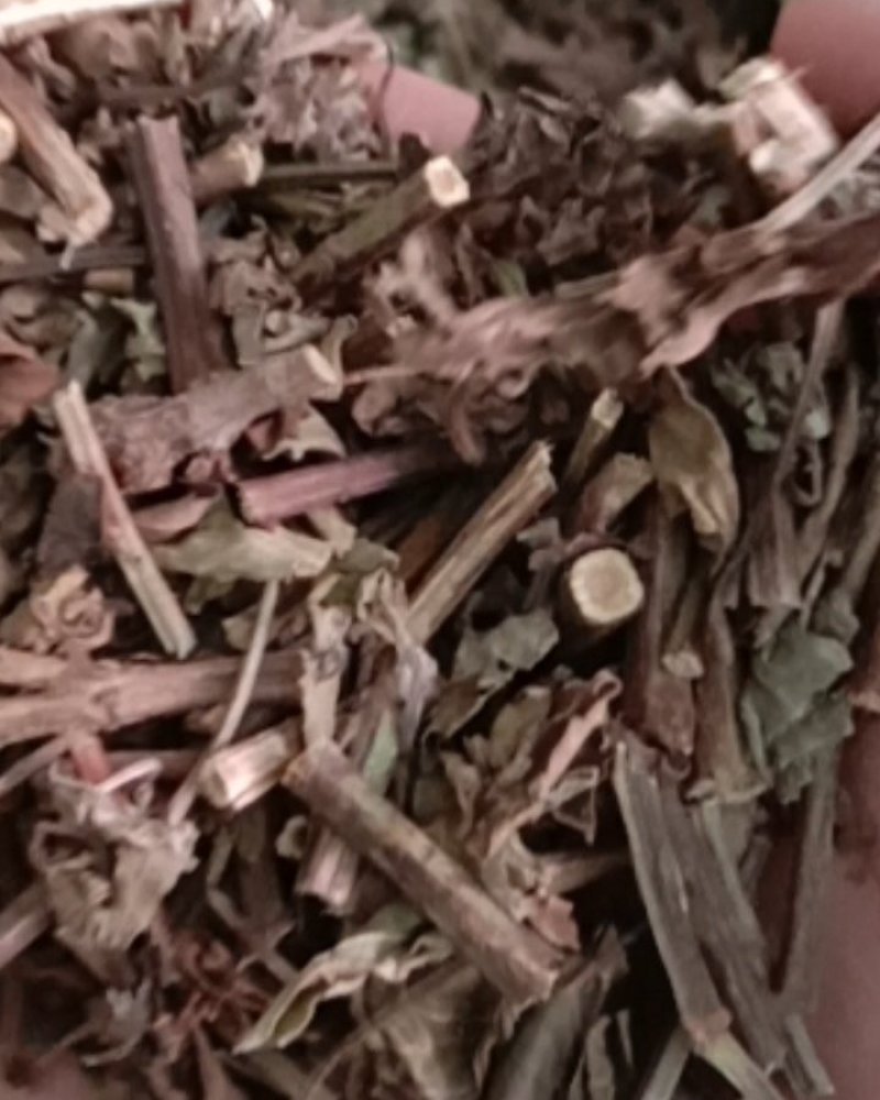 猫须草，常年批发供应冷背中药材，猫须草