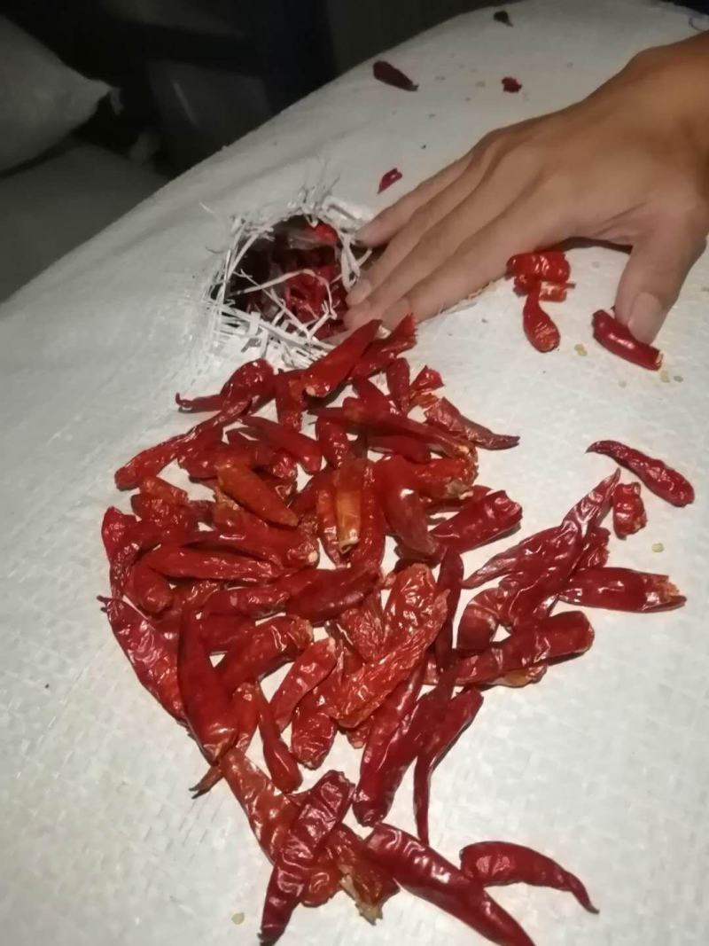 越南进口超靓和广西本地干辣辣