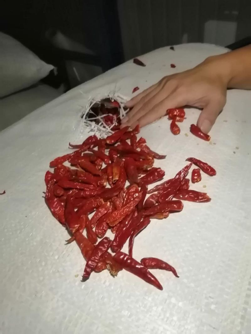 越南进口超靓和广西本地干辣辣