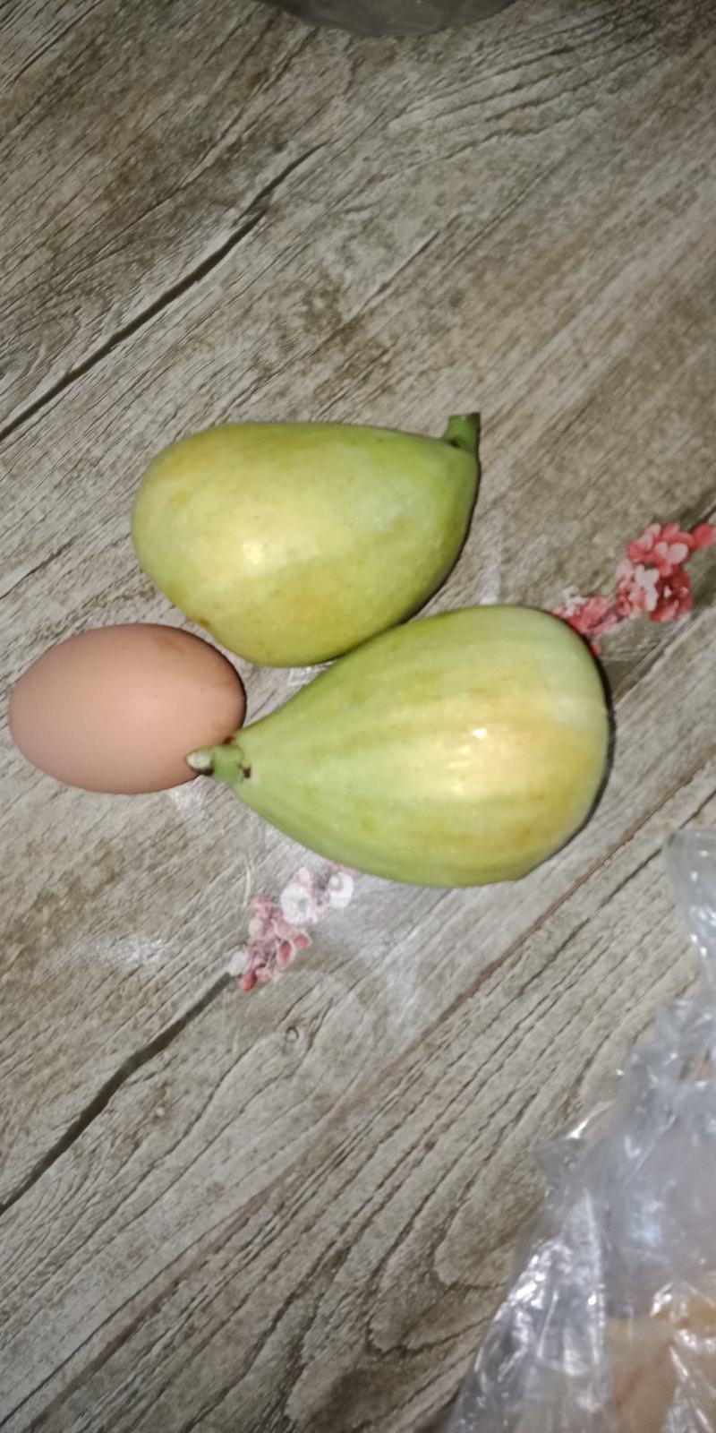 巴劳奈无花果，斯特拉无花果，华丽，春果，圣亚无花果