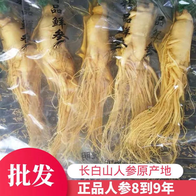 长白山人参保鲜老人参泡酒规格齐全可批发零售量大从优