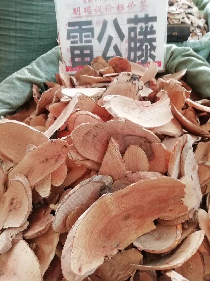 雷公藤，雷公藤批发加零售