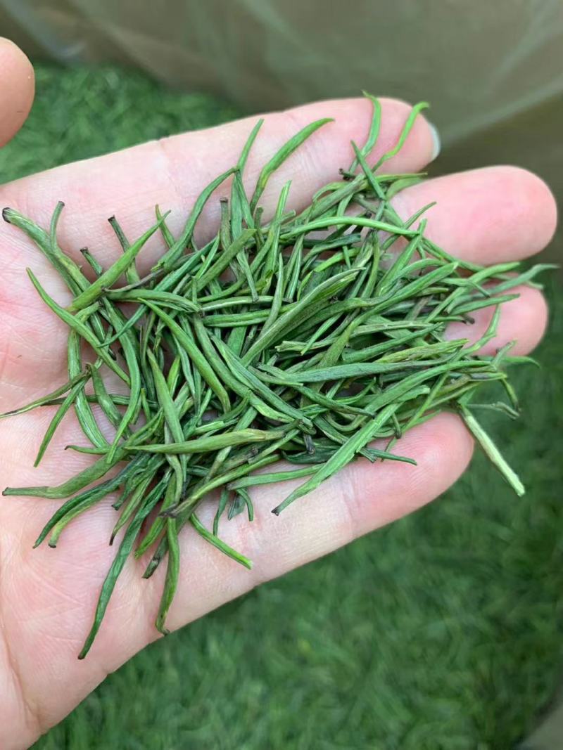 【纯芽绿茶】特级雀舌明前头采2022新茶香醇回甘好