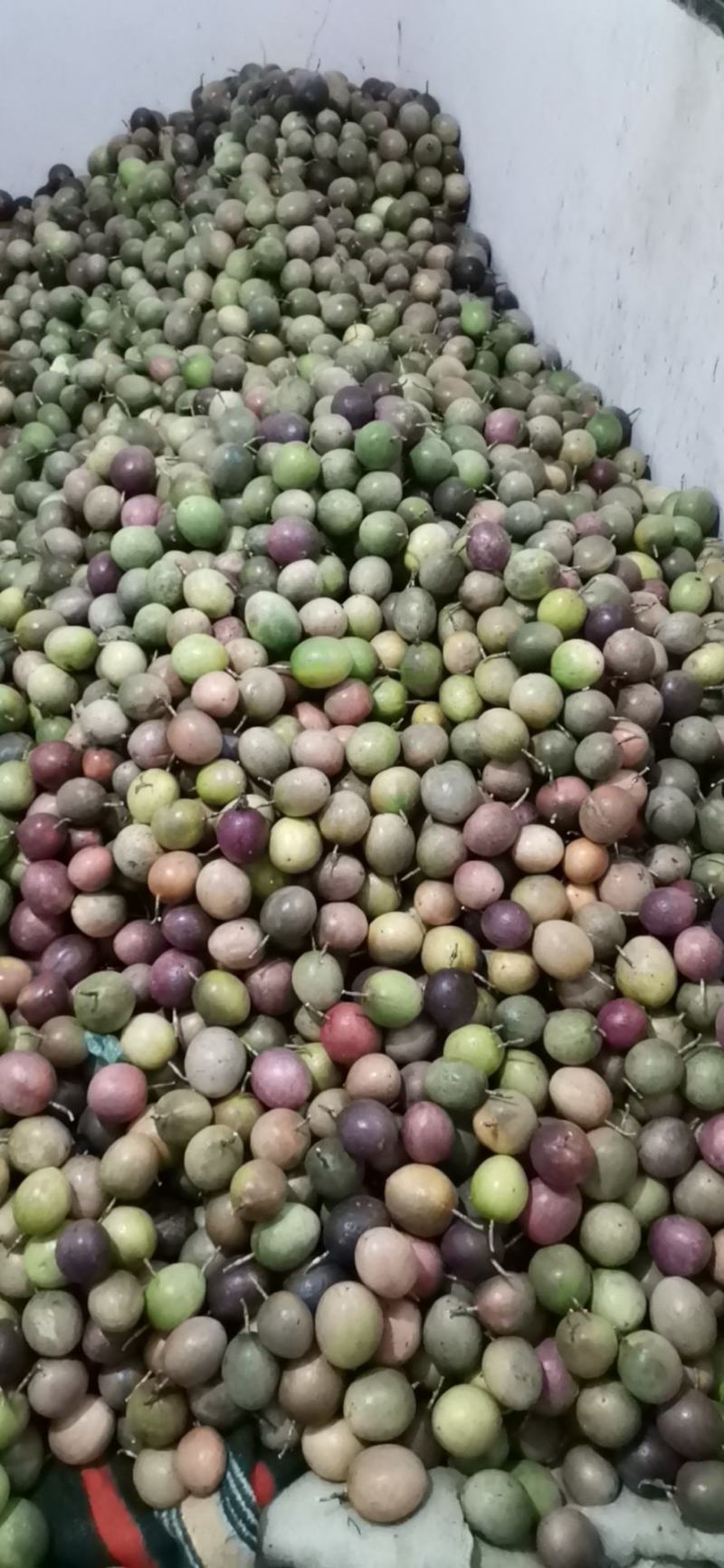 云南德宏台农高山百香果，品质优，味道甜美