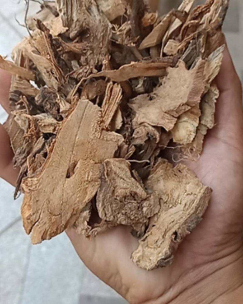 正品苎麻根中药材苎麻根抽根苎麻头贮麻根