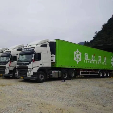 领鲜冷链物流运输公司