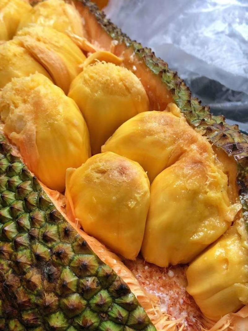 海南榴莲蜜.大叶黄，大钉，尖蜜拉热带当季水果产地新鲜直供