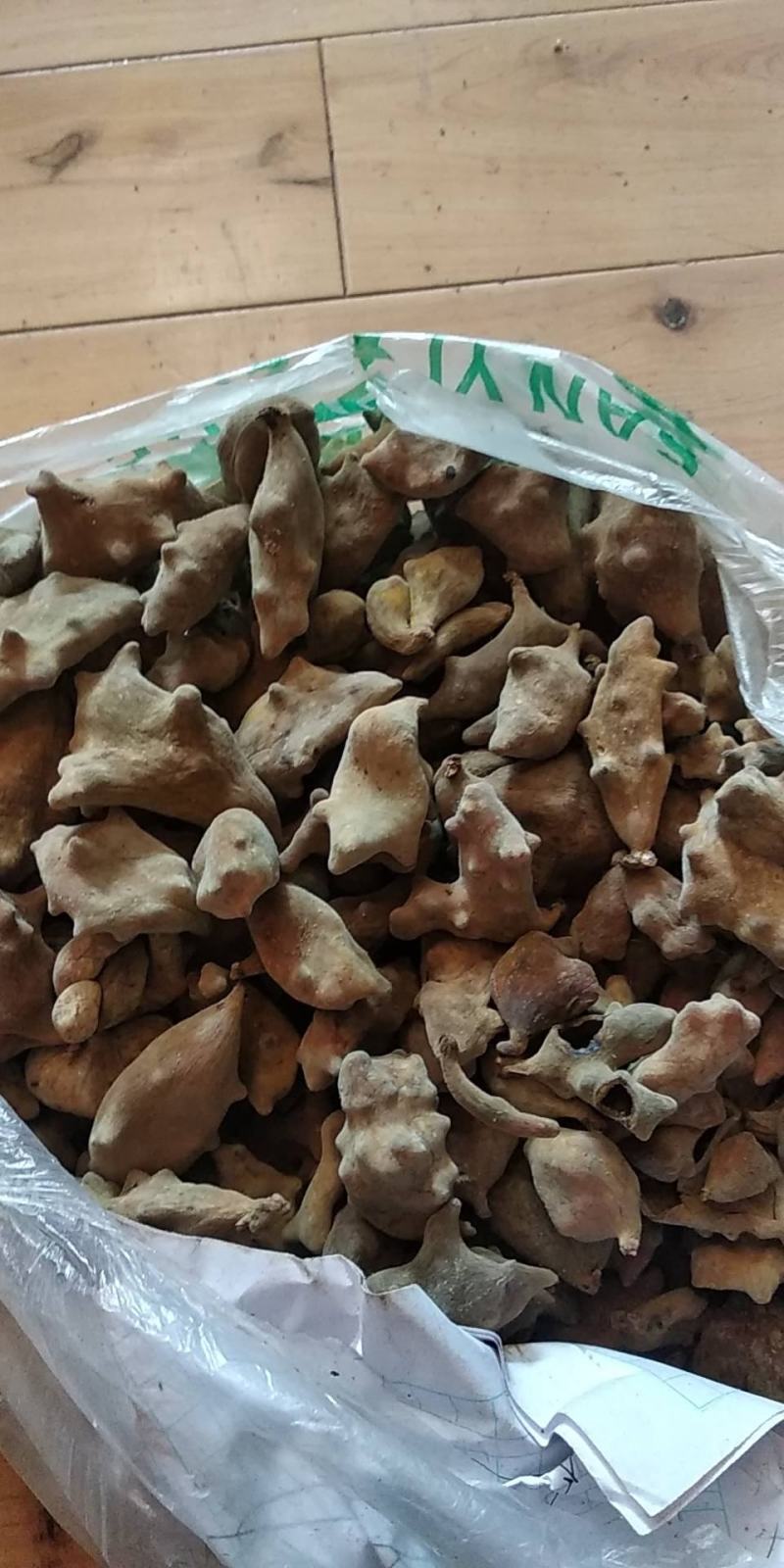 贵州铜仁野生五倍子干货化工原料角倍产地直发肚倍无杂质倍花
