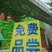 铁棍山药饼五个味道，地摊展会15元10元模式批发