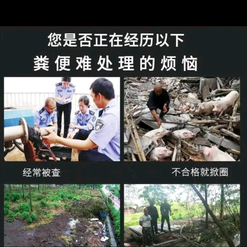 源头厂家直销，中小型粪便干湿分离机，多功能固液分离器。