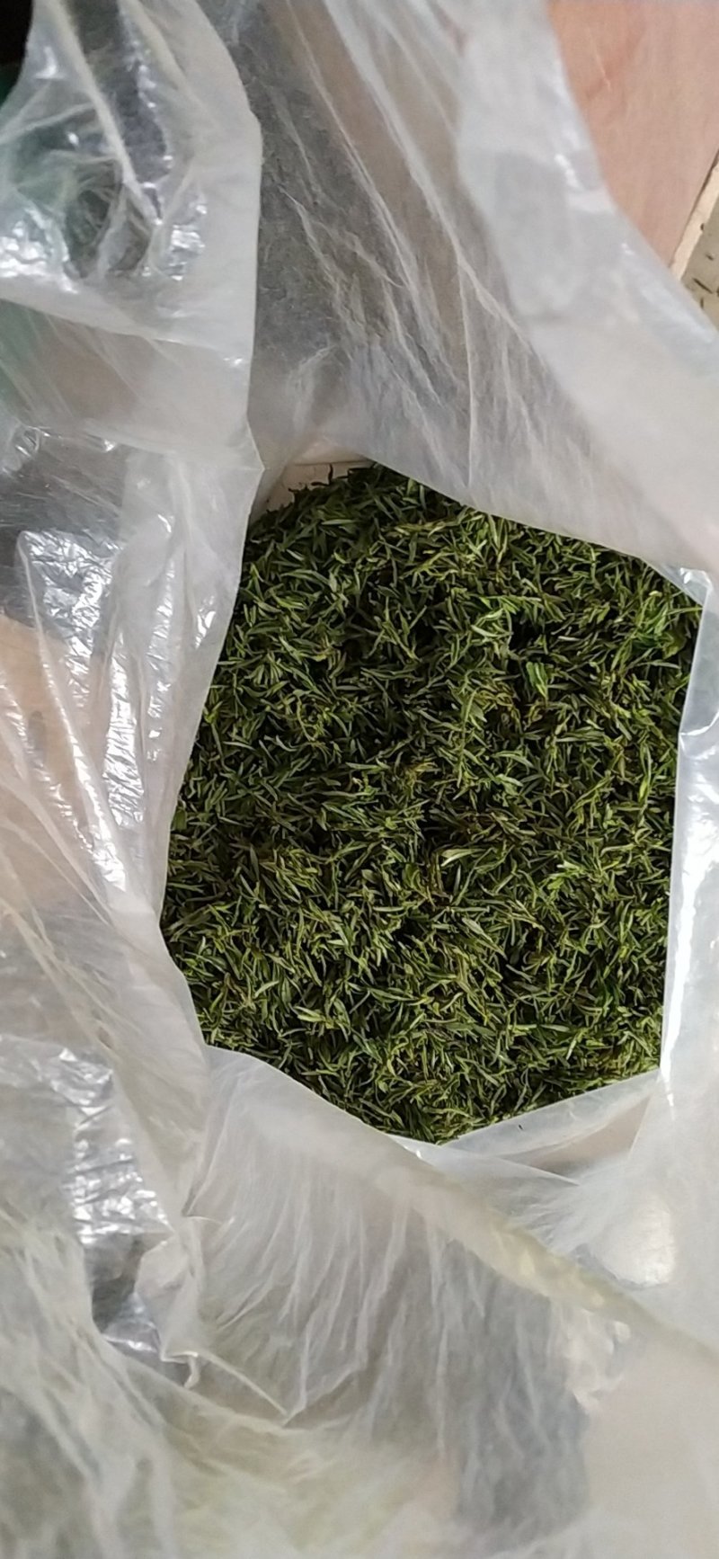 2021年春季新茶舒城小兰花