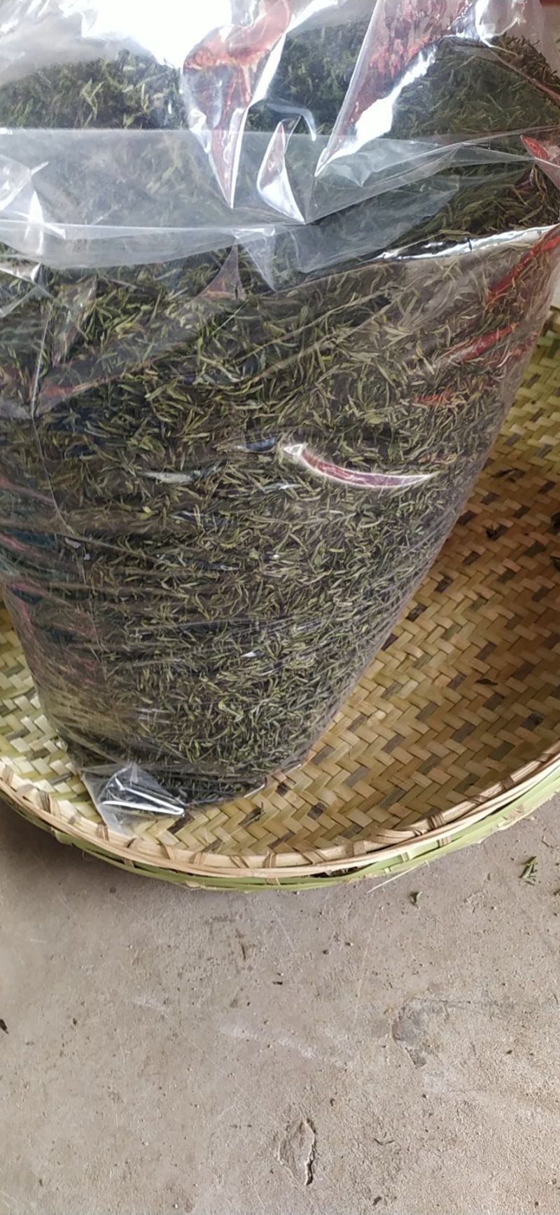 2021年春季新茶舒城小兰花