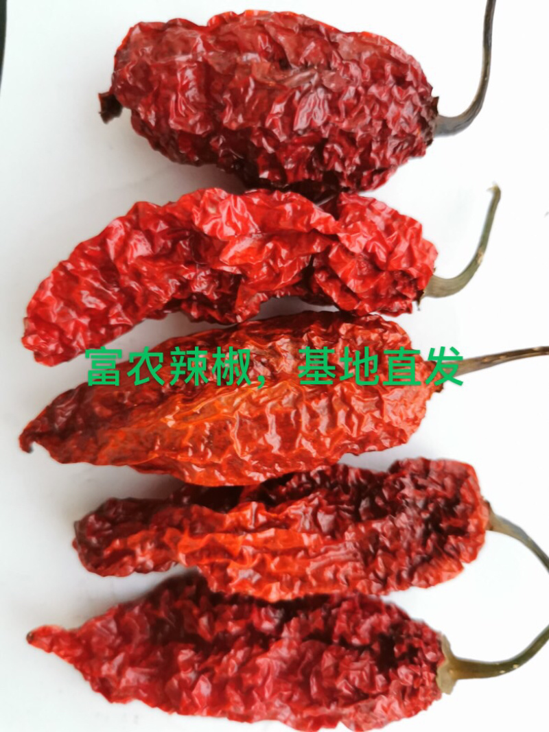 新鲜云南魔鬼椒，新鲜魔鬼辣，价格来电咨询有惊喜