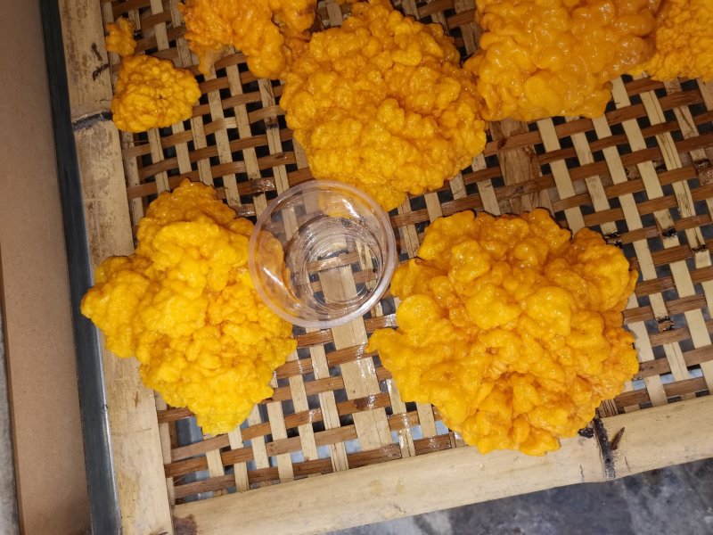 金耳黄金木耳脑耳陕南树林环境椴木干货支持大小件批发代发