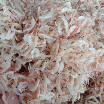 渤海湾虾皮，皮薄肉厚，美味，做汤包水饺，欢迎选购