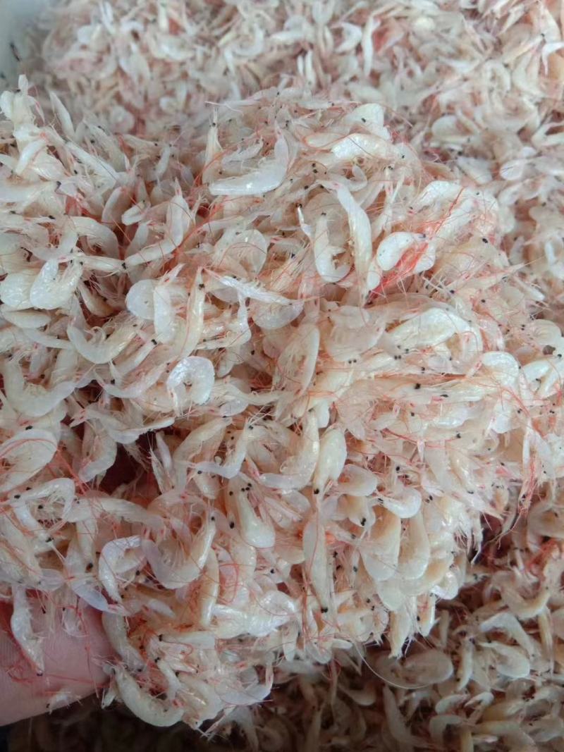 渤海湾虾皮，皮薄肉厚，美味，做汤包水饺，欢迎选购