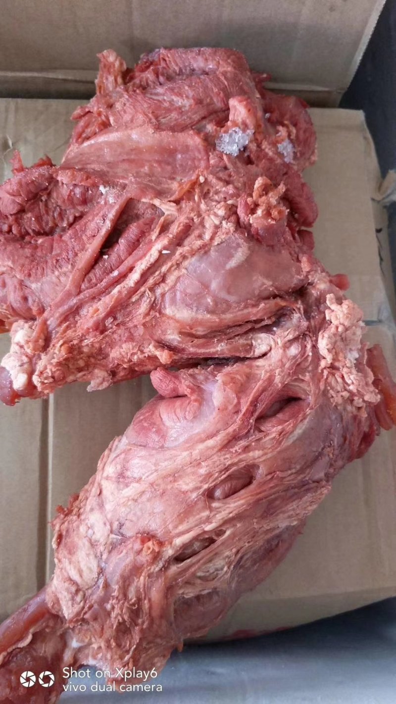 全熟五香牛排腱，质量保证，可以直接食用，简单方便。