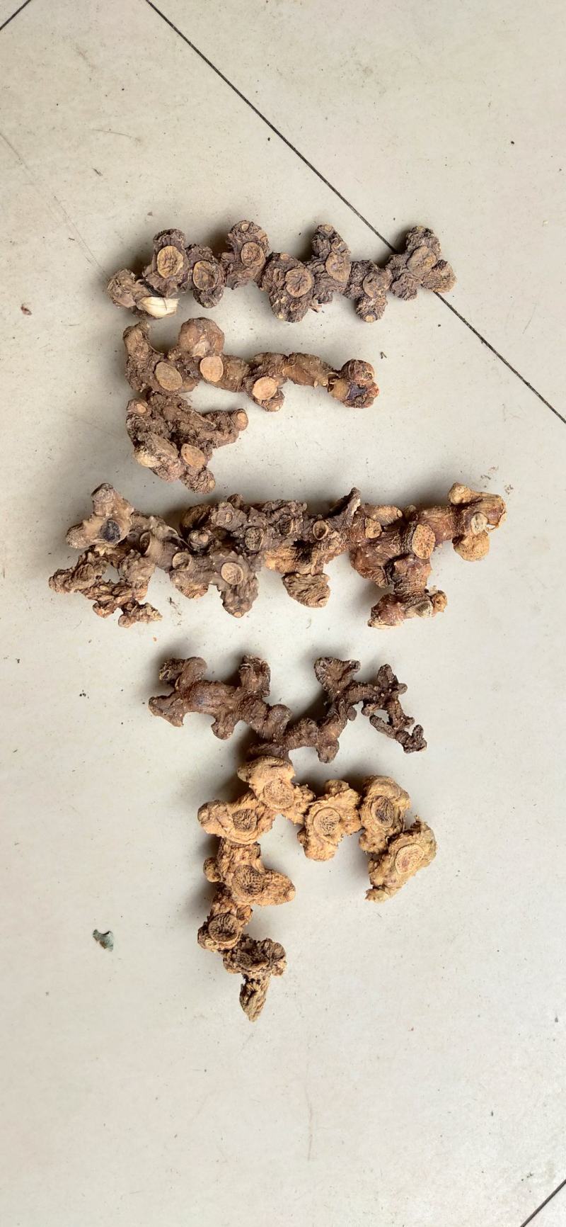 深山8年或以上老黄精干度很好