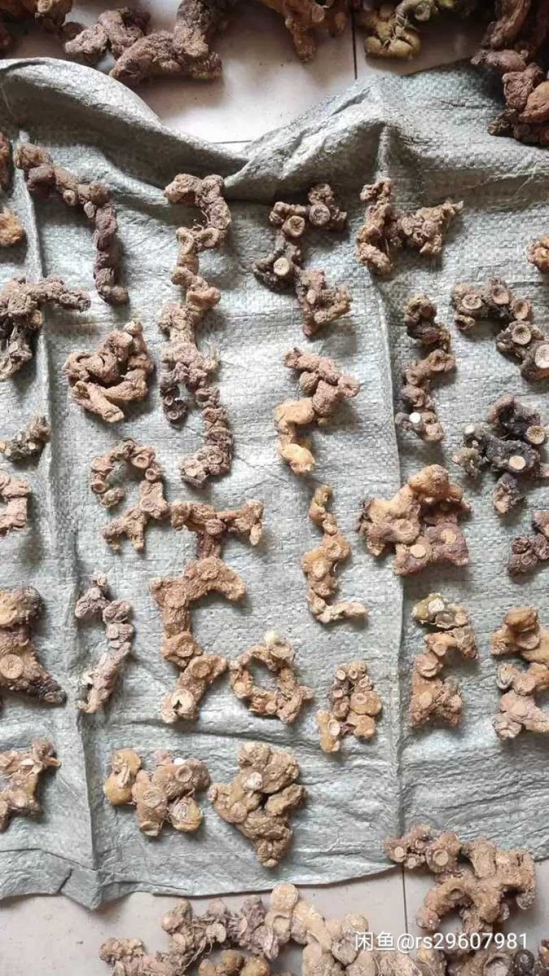 深山8年或以上老黄精干度很好