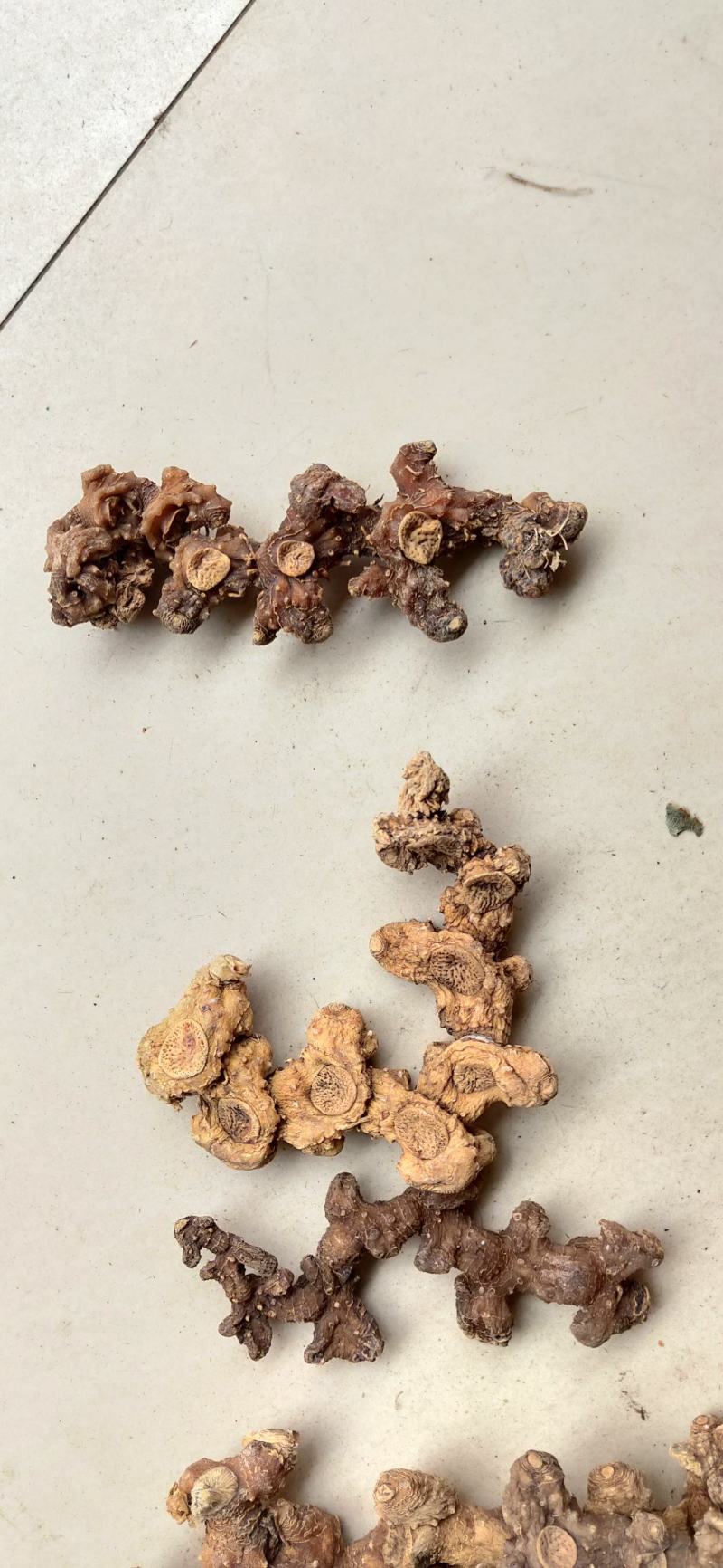 深山8年或以上老黄精干度很好