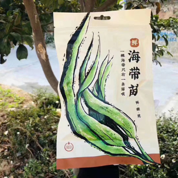 东山海带苗即食鲜嫩海带芽非盐渍