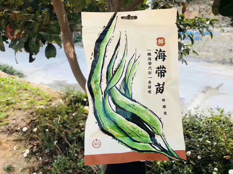 东山海带苗即食鲜嫩海带芽非盐渍