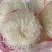 豌豆粉丝手工红薯粉丝跑江湖地摊热卖红苕粉丝批发
