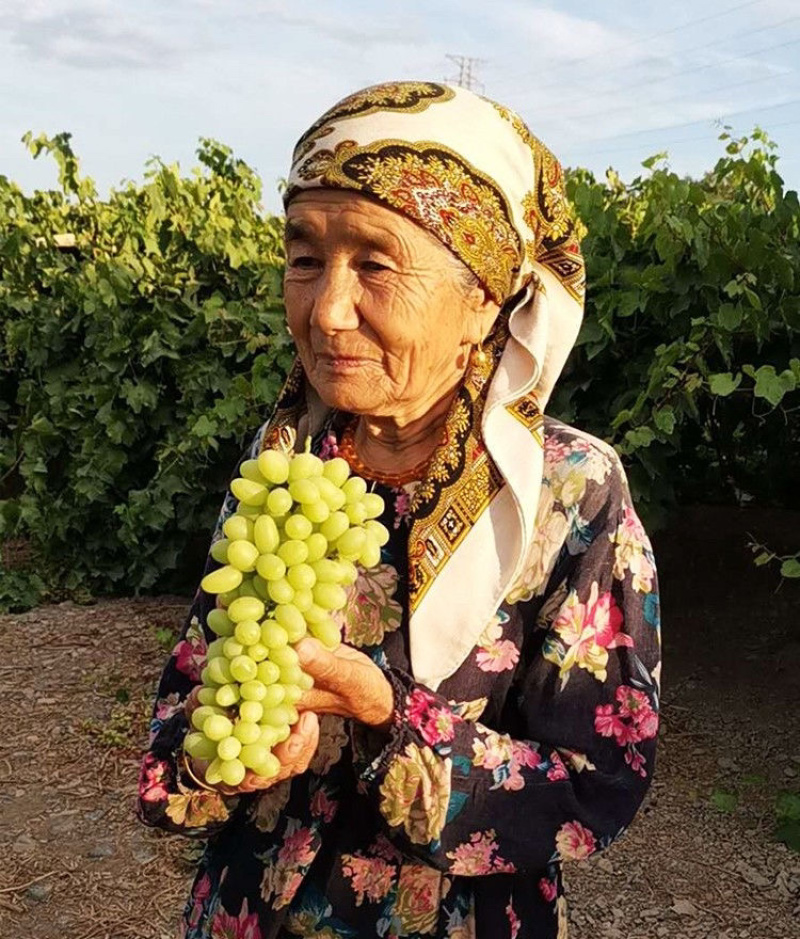 新疆吐鲁番无核白葡萄新鲜水果5斤装