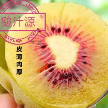 绵阳50000亩红心猕猴桃预售