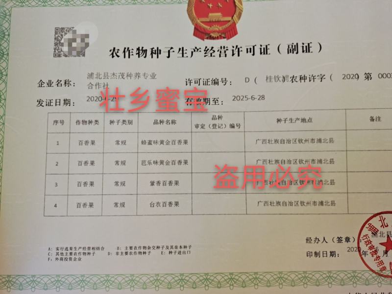 壮乡蜜宝蜂蜜味黄金百香果脱毒种苗包种植技术指导