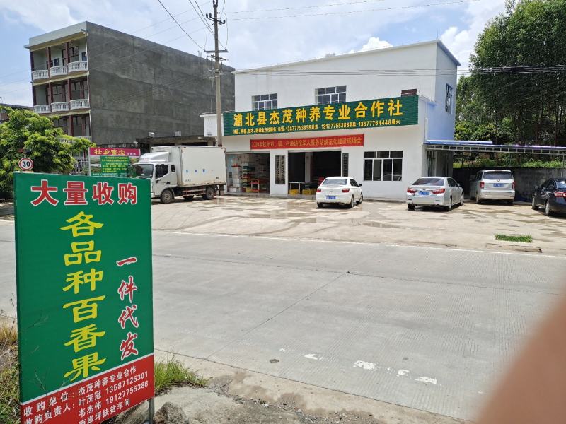 壮乡蜜宝蜂蜜味黄金百香果脱毒种苗包种植技术指导