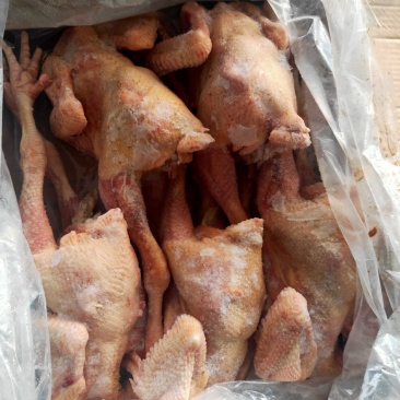 濉溪县百善康源生态种养合作社冻鸡肉