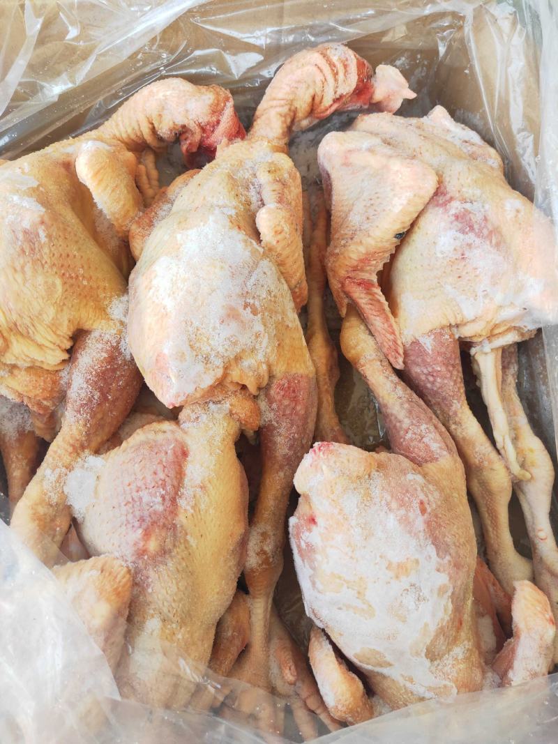 濉溪县百善康源生态种养合作社冻鸡肉