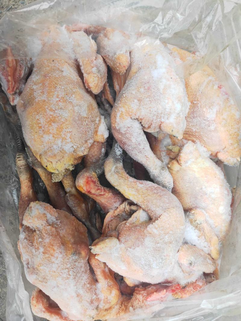 濉溪县百善康源生态种养合作社冻鸡肉