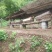 【推荐】秦岭大山里的土蜂蜜波美度42度一件代发欢迎下单！