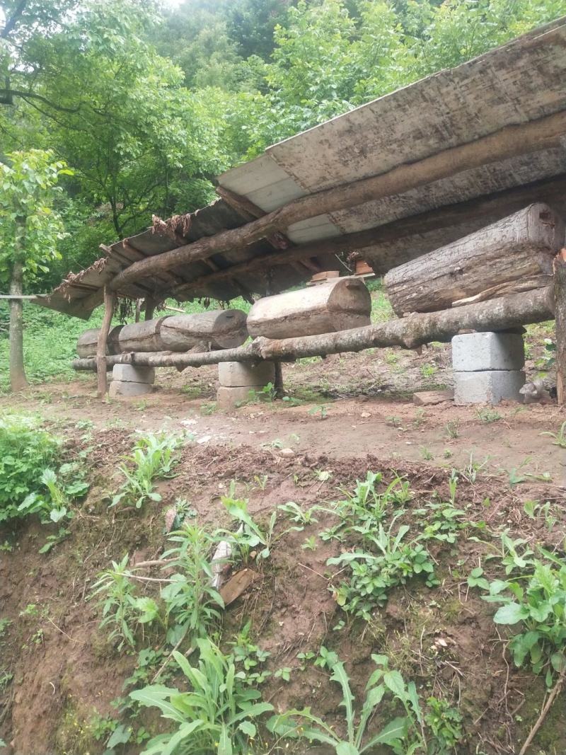 【推荐】秦岭大山里的土蜂蜜波美度42度一件代发欢迎下单！