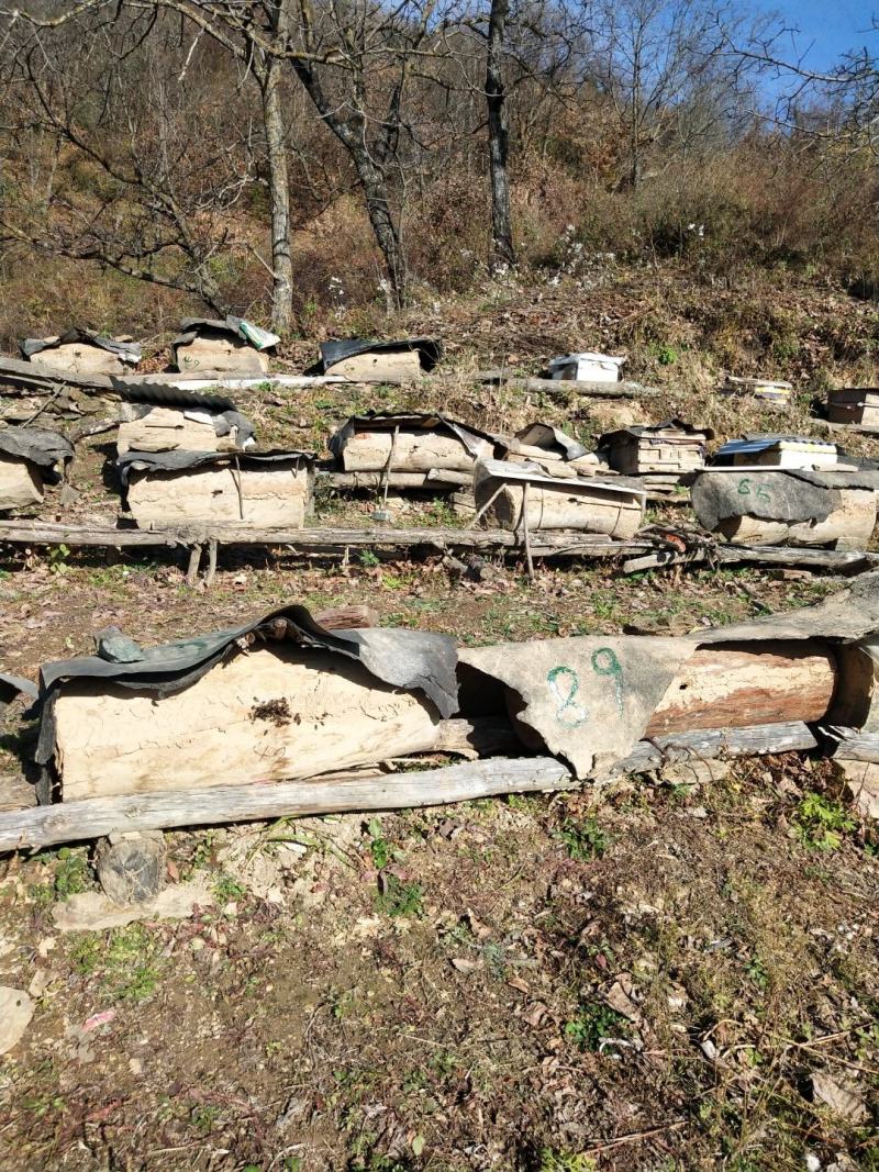 【推荐】秦岭大山里的土蜂蜜波美度42度一件代发欢迎下单！