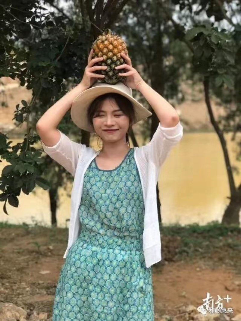 【推荐】广东凤梨精品菠萝产地直供保质保量量大优惠